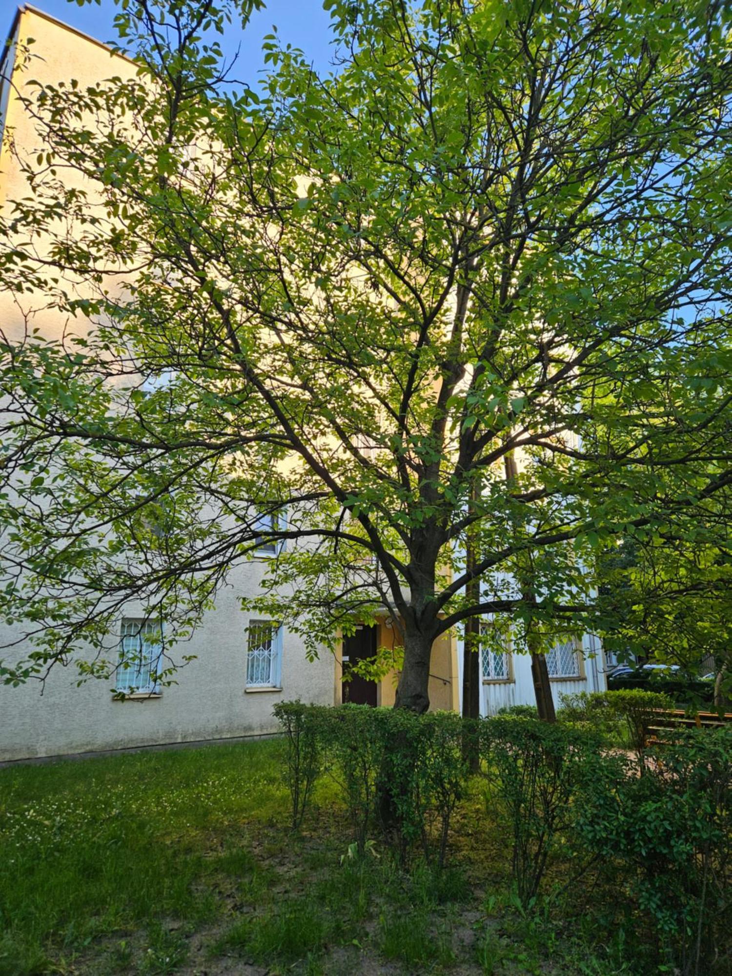 Apartament Milanowek *