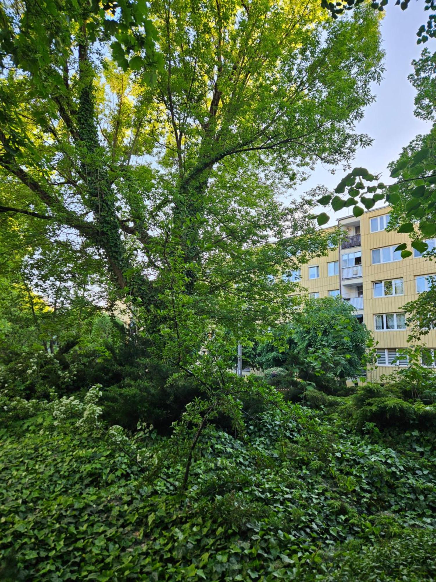 Apartament Milanowek Milanowek